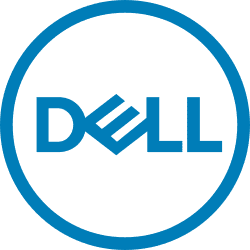 Dell — IWP Academy placement partner